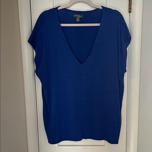 Market & Spruce Deep Blue V-Neck Blouse